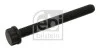 Болт головки блока FEBI BILSTEIN 09798 (фото 1)