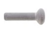 Болт ступиці(з шліцем типу Torx) 102234