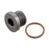 Пробка поддона BMW 1 (F20) / 3 (E36) / 5 (E60, F10) / 7 (F01) / X5 (E53, E70) 96 - FEBI BILSTEIN 31704 (фото 1)