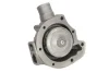 Водяний насос FEBI BILSTEIN 35030 (фото 1)