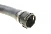 Патрубок системы охлаждения BMW X5 (E53) (M 62) 00-03 (11 53 7500750) FEBI BILSTEIN 36596 (фото 4)