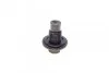 Корок масляного піддона (M14x1.5/ L 13.5) Citroen Jumper/Ford Focus/Transit/Escort 92- 256.850.001