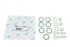 Комплект сальников компрессора кондиционера Renault Trafic 09- 3418-003