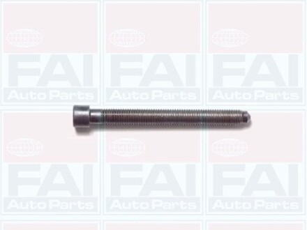 К-кт болтов Г/Б (10шт)) 1.8 VW Passat B5 /Audi A4, A6 Fischer Automotive One (FA1) B1006