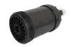 Фильтр топливный Fleetguard FS1098 (фото 1)