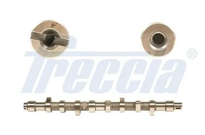 Розподільний вал FIAT / CITROEN / PEUGEOT Berlingo, Jumper, Jumpy, Ducato, Boxer, Partner 1,9D FRECCIA CM052141
