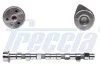 Розподільний вал PEUGEOT / RENAULT / CITROEN / OPEL / FIAT Jumper, Ducato, Boxer, Master, Movano 2,5-2,8 D 98- FRECCIA CM052147 (фото 1)