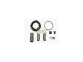 Ремкомплект супорта (переднього) BMW 3 (E93) 06-13 (Ø 57mm) (Ate) 257059