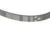 Пасок поліклиновий 4PK1022 Gates 4PK1022SF (фото 4)