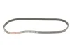 Пасок поліклиновий BMW X3 06-/X6 08- Gates 4PK843SF (фото 5)
