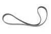 Пасок поліклиновий BMW 3 (E46) 01-05, X3 (E83) 04- Fiat Stilo (192) 01-08 4PK895SF