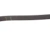 Пасок поліклиновий BMW 3 (E46) 01-05, X3 (E83) 04- Fiat Stilo (192) 01-08 Gates 4PK895SF (фото 3)