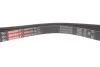 Пасок поліклиновий BMW 3 (E46) 01-05, X3 (E83) 04- Fiat Stilo (192) 01-08 Gates 4PK895SF (фото 4)