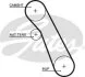 Ремень зубчатый 91Z Ford Focus 1.8DI 1.8TDI 10 / 98- Gates 5541XS (фото 3)