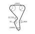 Пасок ГРМ 135Z Citroen C2/C4 04- /Peugeot 206 03-/307 03- 5615XS