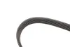 Ремінь приводний агрегатів BMW / Citroen / Lada / MB / Mitsubishi / Nissan / Opel / Peugeot / Renault / Toyota / Volvo Gates 5PK1123 (фото 3)