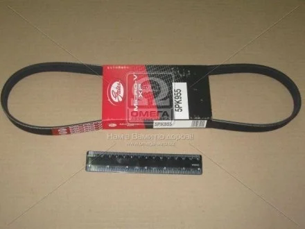 Ремень приводной поликлиновый Gates 5PK955