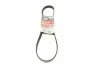 Пасок поліклиновий Ford Fiesta 95-00/01-07, Fusion 02- Mazda Mazda 2 03-06/07- Gates 6PK1019SF (фото 1)