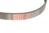 Пасок поліклиновий Ford Fiesta 95-00/01-07, Fusion 02- Mazda Mazda 2 03-06/07- Gates 6PK1019SF (фото 2)
