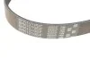 Пасок поліклиновий Ford Fiesta 95-00/01-07, Fusion 02- Mazda Mazda 2 03-06/07- Gates 6PK1019SF (фото 3)