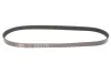 Ремень генератора 6PK1038 Caddy II 1.9D/SDI >04 (WP,TP) GATES 6PK1038