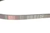 Ремень генератора Caddy II 1.9D/SDI >04 (WP,TP) Gates 6PK1038 (фото 4)