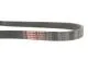 Поликлиновые ремни Micro-V XS Gates 6PK1073EST (фото 3)