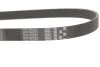 Поліклиновий ремінь Micro-V Gates 6PK1080EST (фото 2)