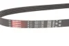 Ремень генератора Caddy III/T5 1.9TDI 03 (-AC) GATES Gates 6PK1138 (фото 2)