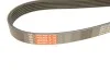 Пасок поліклиновий 6PK1635 Gates 6PK1633 (фото 4)
