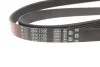 Ремень генератора 6PK1733 Audi/BMW/Skoda/VW Gates 6PK1735 (фото 2)