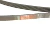 Пасок поліклиновий Gates 6PK1750 (фото 5)