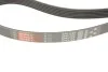 Ремень генератора Trafic/Vivaro/Master/Movano 1.9DTI/dCi 01- ALT, PS, AC GATES Gates 6PK1795 (фото 4)