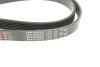 Ремень приводной поликлиновый Gates 6PK1830XS (фото 4)