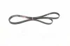 Поликлиновые ремни Micro-V 6PK2168