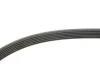 Пасок поліклиновий 6PK2250/2255 Gates 6PK2253 (фото 3)