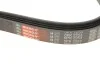 Пасок поліклиновий 6PK2250/2255 Gates 6PK2253 (фото 5)