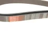 Ремень приводной поликлиновой Gates 6PK2305 (фото 4)