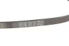 Пасок поліклиновий 6PK736/738 Gates 6PK738 (фото 4)