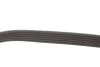Поліклиновий ремінь Gates 6PK883 (фото 4)