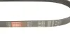 Ремінь генератора Golf III/Passat/T4/Caddy 1.9TD GATES Gates 6PK923 (фото 3)