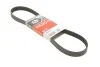 Ремінь генератора Golf III/Passat/T4/Caddy 1.9TD GATES Gates 6PK923 (фото 4)