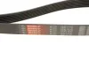 Пас приводной с длиной окружности более 60 см, но не более 180см Gates 7PK1570 (фото 5)