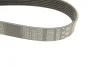 Поликлиновые ремни Micro-V XS Gates 7PK1685XS (фото 4)