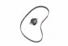 Ремкомплекты привода ГРМ автомобилей PowerGrip Kit Gates K015428XS (фото 2)