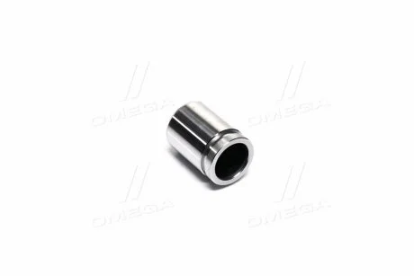 Поршень гальмівного супорта evanda, ерика GM 93740569