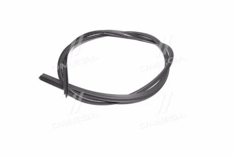 Уплотнитель стекла GM 96543951