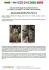 Водяна помпа (з датчиком) VAG 1.6 TDI, 2.0TDI GRAF PA1360A-8 (фото 2)