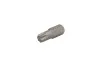 Бита TORX 10мм HANS 043-3T50 (фото 1)