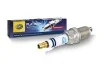 Свеча зажигания Platinum PM9RC-10 HELLA 8EH188705011 (фото 2)